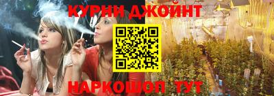 сатива Заволжье