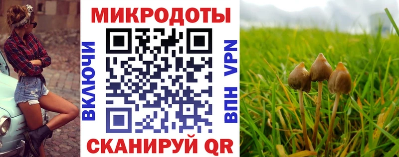 Галлюциногенные грибы MAGIC MUSHROOMS  Сызрань 